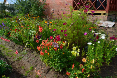 Similar image 21975062