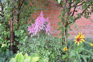 Similar image 21975063