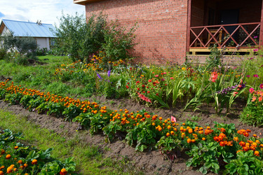 Similar image 21975065