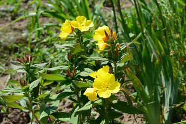 Similar image 21975071