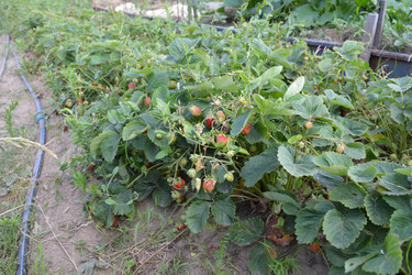 Similar image 21975072