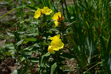 Similar image 21975073