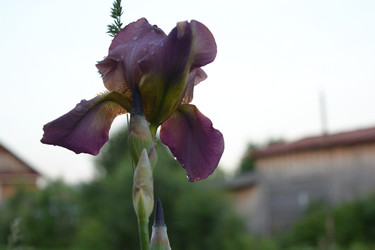 Similar image 21975074