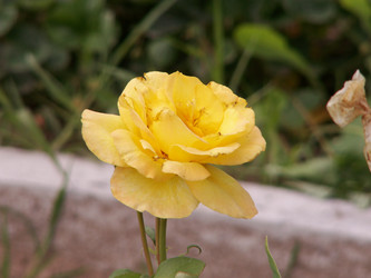 Similar image 21975076