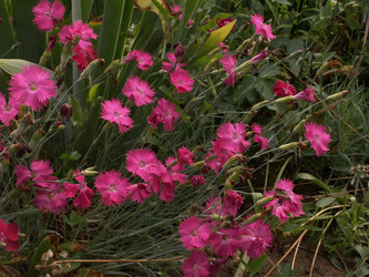 Similar image 21975079