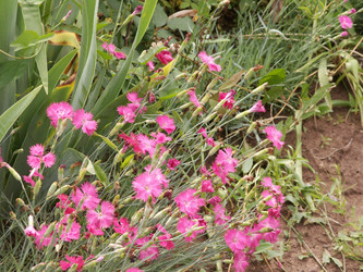 Similar image 21975236