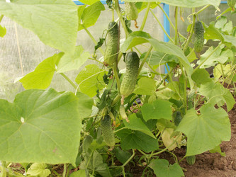 Similar image 21975238