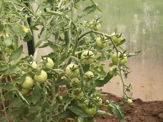 Similar image 21975239