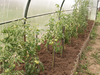 Similar image 21974726