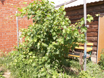 Similar image 21974727