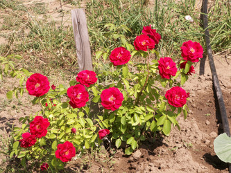 Similar image 21974728