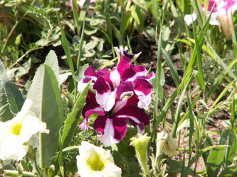 Similar image 21974729