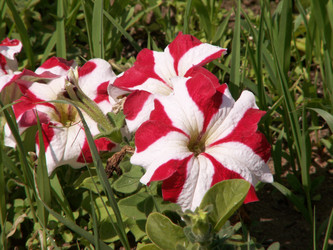 Similar image 21974730