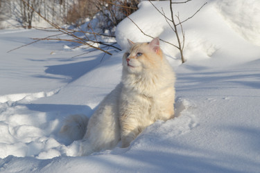 Similar image 21973272