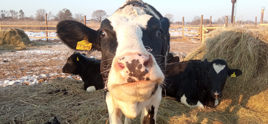 Similar image 21973275