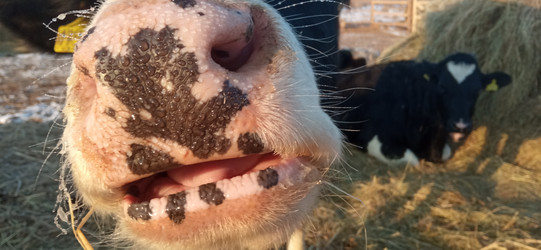 Similar image 21973277