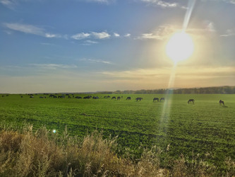 Similar image 21974607