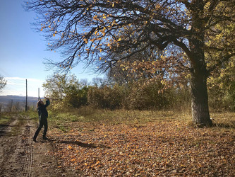 Similar image 21974609