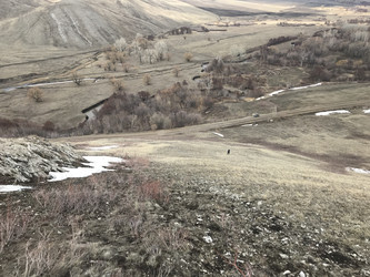 Similar image 21974611