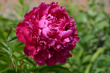 Similar image 21975082