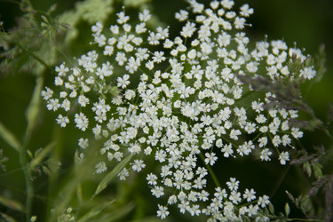 Similar image 21975083