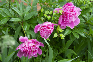 Similar image 21975085