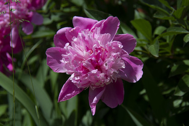 Similar image 21975088