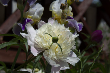 Similar image 21975240