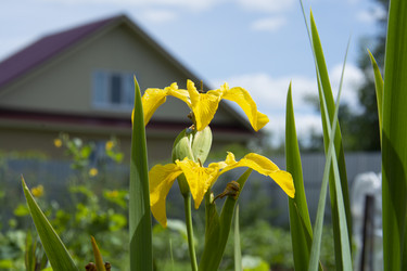 Similar image 21975241