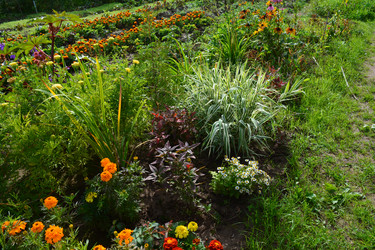 Similar image 21975242