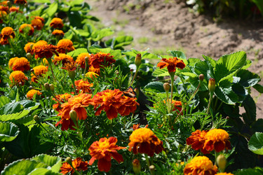 Similar image 21975243