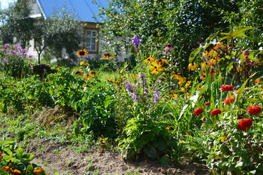 Similar image 21975229