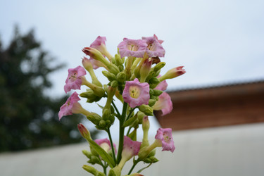 Similar image 21975231