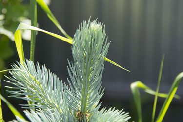 Similar image 21974732