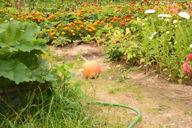 Similar image 21974734