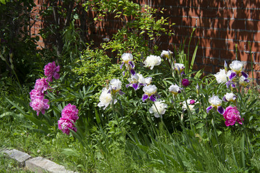 Similar image 21974735