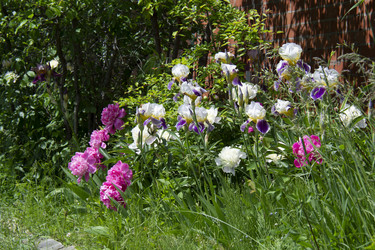 Similar image 21974736