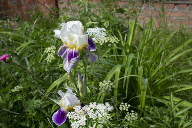 Similar image 21974737