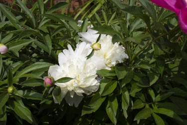 Similar image 21974739