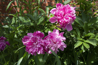 Similar image 21975092