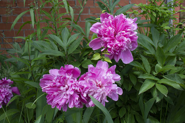 Similar image 21975093