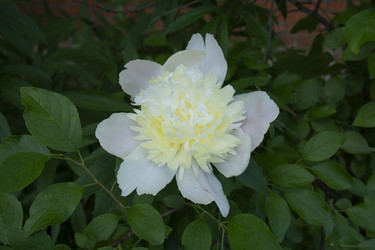 Similar image 21975094