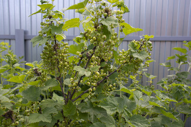 Similar image 21975096