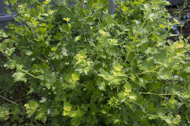 Similar image 21975097