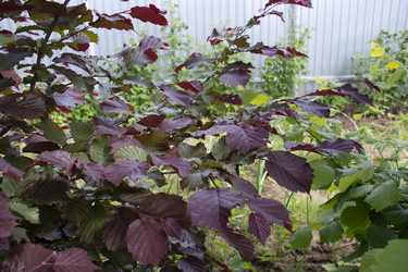 Similar image 21975098