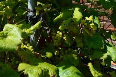 Similar image 21975100