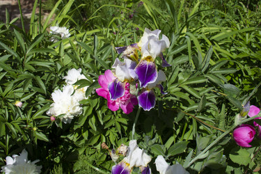 Similar image 21975101