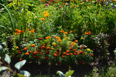 Similar image 21975102