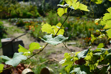 Similar image 21975104