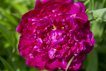 Similar image 21975108